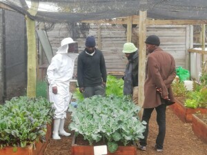 Wobuntu Gugulethu Peopleize