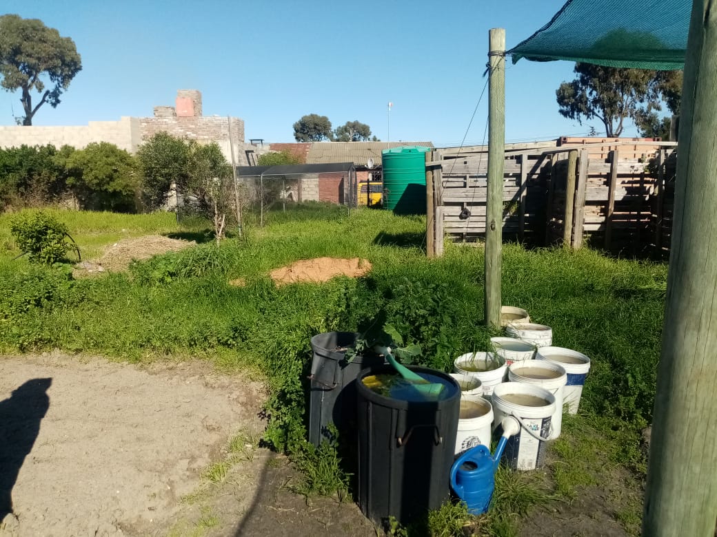 You are currently viewing A Harvest of Connection: Nurturing a Self-Sustaining Urban Garden