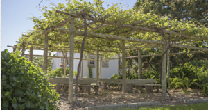 Join In Transforming Gugulethu and Langa Townships