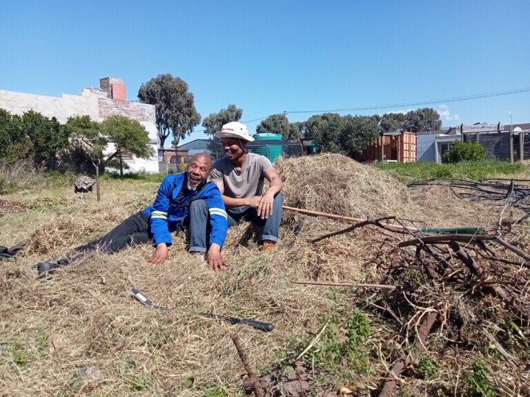 Read more about the article Tuesday, September 12th Weather in Gugulethu: Sunny Day, Spring is Here!