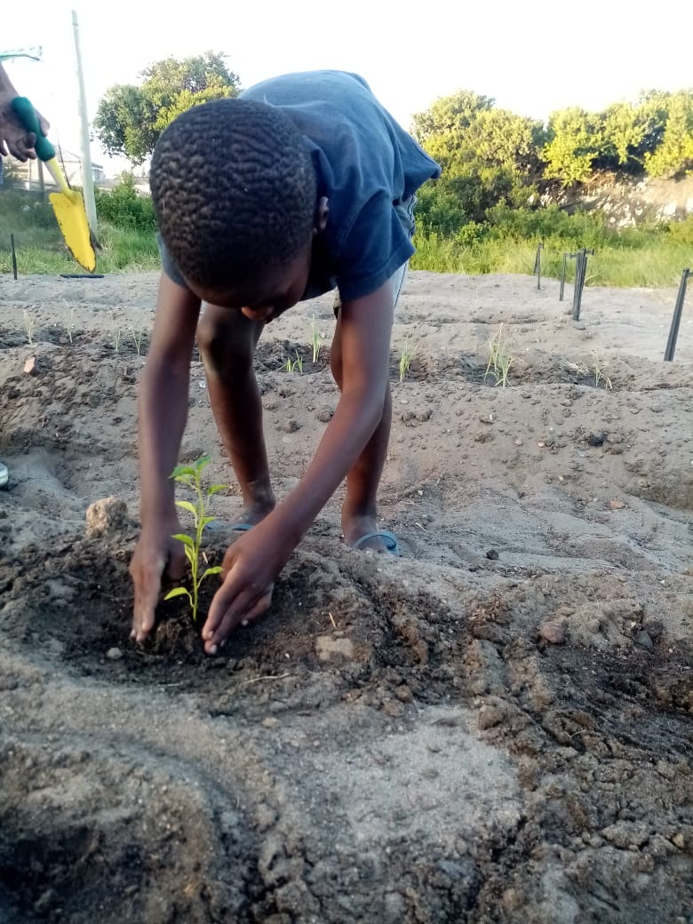 You are currently viewing Cultivating Joy and Growth: Masithandane Gugulethu Peopleize Center’s Youth Gardening Program Blooms